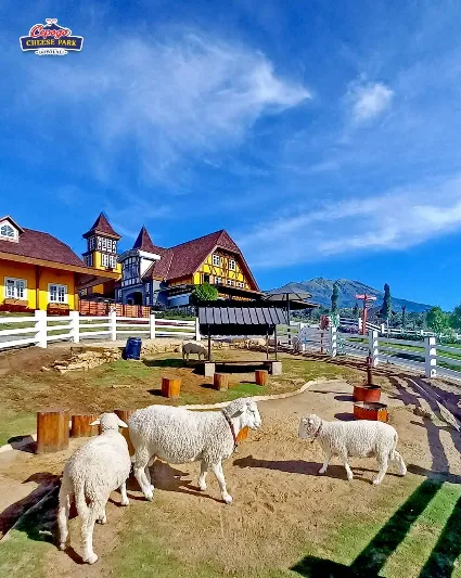 7 Tempat Wisata Boyolali Terbaru yang Instagrammable 10