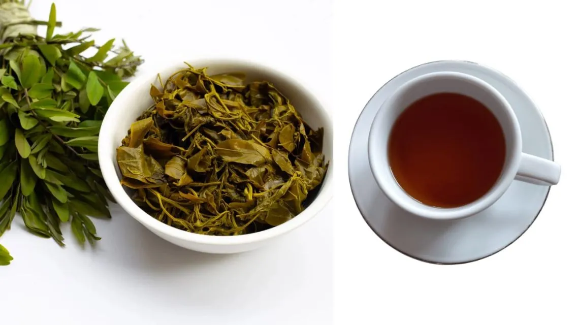 Teh daun senna