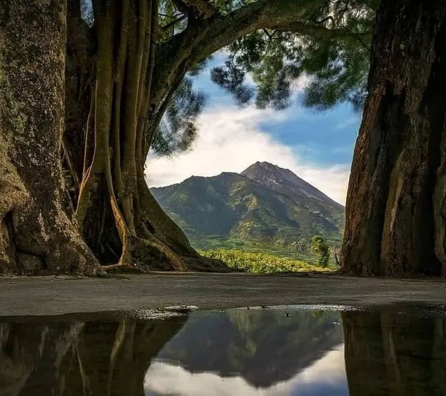 7 Tempat Wisata Boyolali Terbaru yang Instagrammable 8
