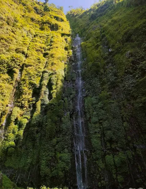 7 Tempat Wisata Boyolali Terbaru yang Instagrammable 14