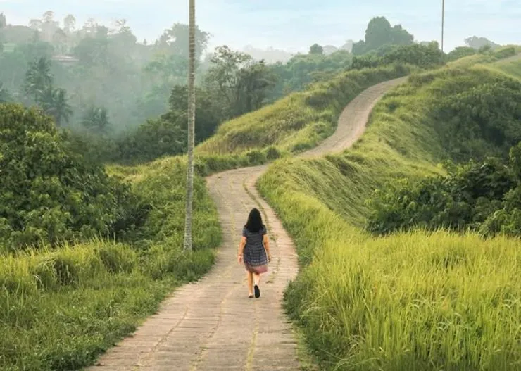 campuhan ridge walk bali