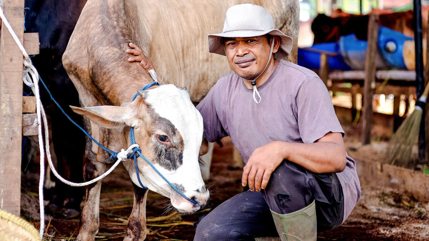 hipwee-sapi kurban (1)