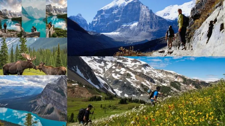 Hiking the Canadian Rockies: Exploring Banff and Jasper National Parks