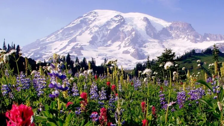 Hiking and Camping Through the National Parks of the Pacific Northwest