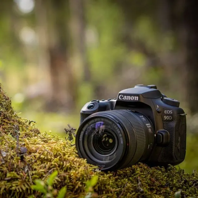6 Kamera DSLR Terbaik yang Masih Layak Dibeli, Lengkap Spek dan Harganya! 10 hipwee-Kamera DSLR Terbaik Canon EOS 90D Photo via Pinterest