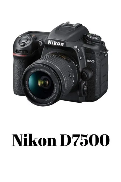 6 Kamera DSLR Terbaik yang Masih Layak Dibeli, Lengkap Spek dan Harganya! 11 hipwee-Kamera DSLR terbaik Nikon D7500 Photo by pinterest.com/mappleartstudio