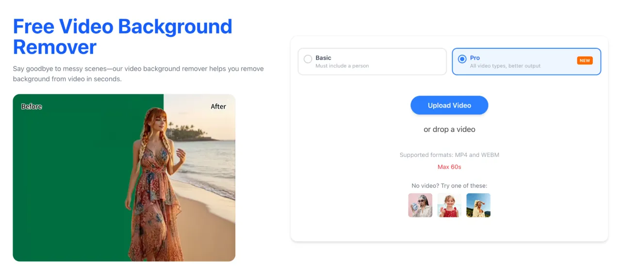 Easy To Use Free Online Video Background Remover 8 free video background remover