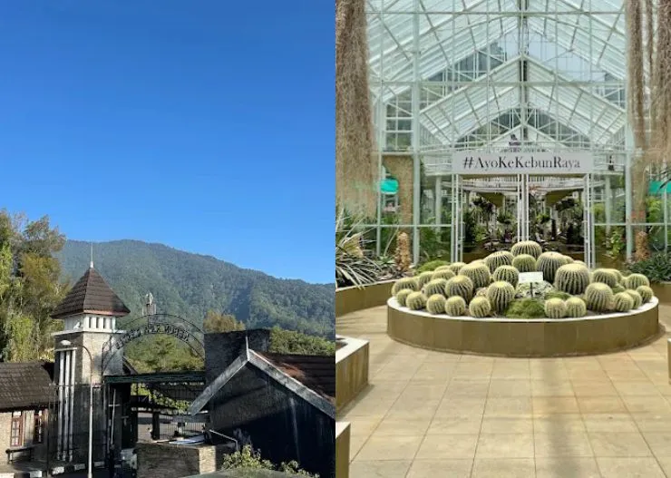 7 Tempat Wisata di Cianjur yang Lagi Hits dan Wajib Dikunjungi 8 kebun raya cibodas