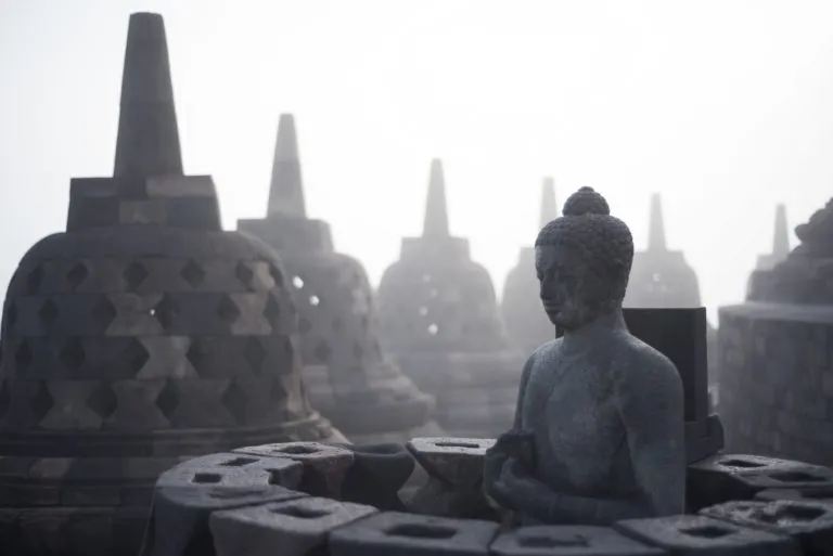 _DAK2071ed-min