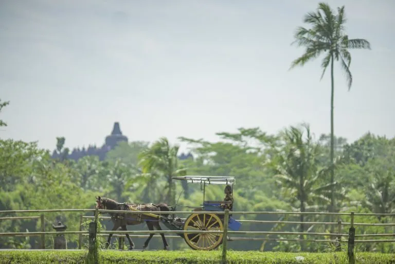 Borobudur-000155-min