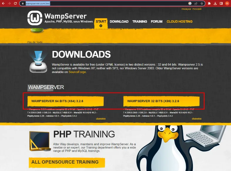 Cara Menginstal WordPress di Windows menggunakan WampServer 1 Cara Menginstal WordPress di Windows menggunakan WampServer - download wampserver