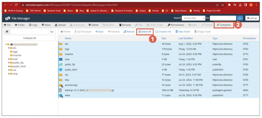 How to Back Up WordPress in cPanel? (2 Plugin-Free Ways) 5 Cara Backup WordPress di cPanel