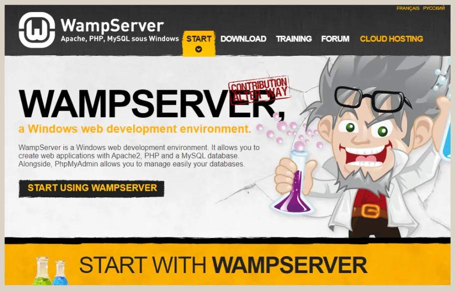 How to Install WordPress on LocalHost (XAMPP, WampServer, LocalWP) 3 WampServer install screen