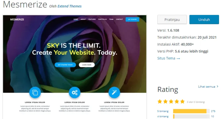 Best Free WordPress Themes - Mesmerize