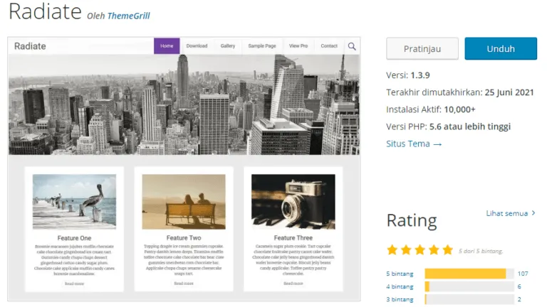 Best Free WordPress Themes - Radiate