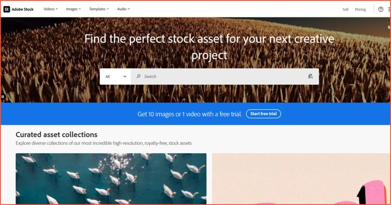 9 Web Design Resources Terbaik 2025 Gratis dan Berbayar 14 Adobe Stock