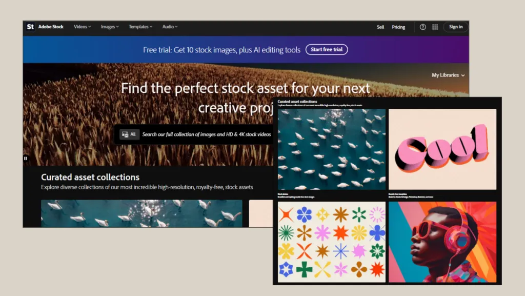 adobe stock