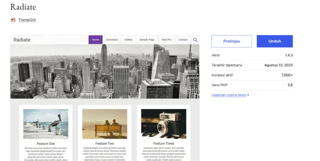 33 Best Free WordPress Themes in 2026 for Business 14 Best Free WordPress Themes - Radiate