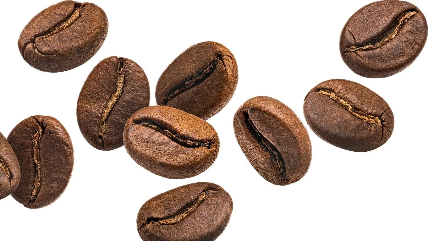 Perbedaan Kopi Robusta dan Arabika, Kamu Suka yang Mana? 3 Karakteristik Kopi Arabika