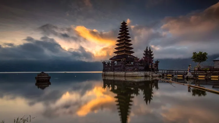 Wajib Coba! 7 Jenis Kopi di Indonesia dengan Aroma dan Rasa Khas 1 kopi Kintamani Bali salah satu jenis kopi terbaik di Indonesia