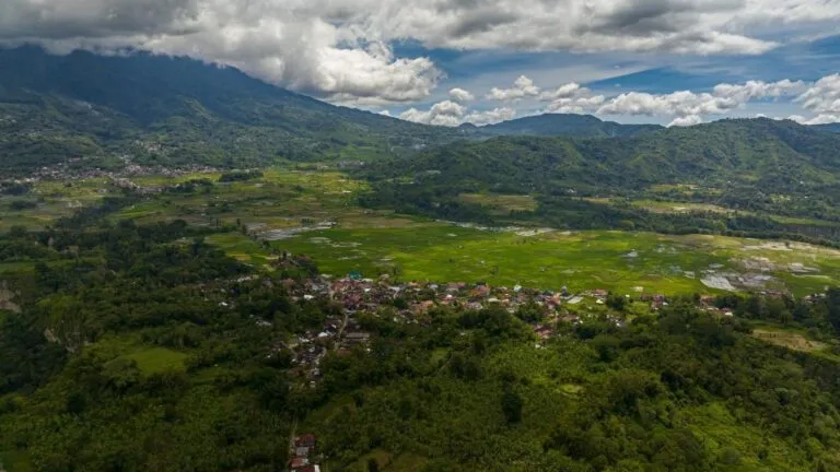 Keistimewaan Kopi Mandheling khas Sumatera yang Kaya Rasa