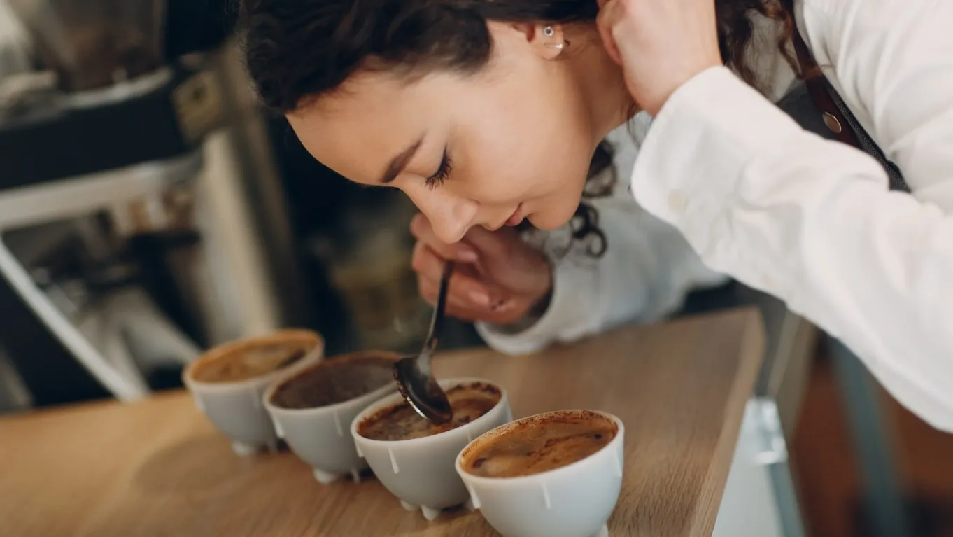 Istilah Penting yang Perlu Diketahui oleh Pencinta Kopi 4 cupping adalah istilah penting yang perlu diketaui pencinta kopi