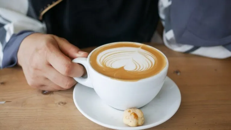 fakta unik tentang kopi